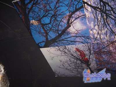 Balada: Fotos na Ibiza