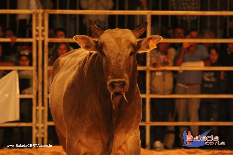 Balada: Braslia Rodeio Show - Parque Leo - DF