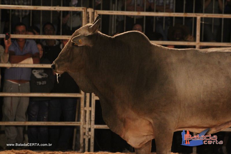 Balada: Braslia Rodeio Show - Parque Leo - DF