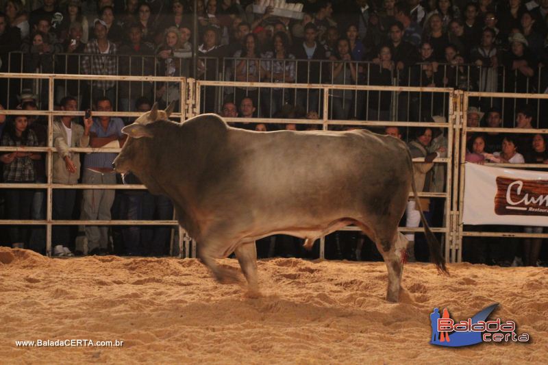 Balada: Braslia Rodeio Show - Parque Leo - DF