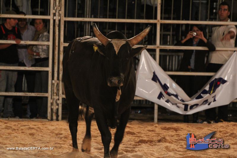 Balada: Braslia Rodeio Show - Parque Leo - DF