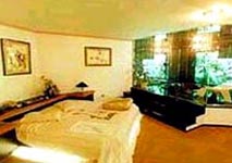 Presidencial