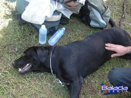 Balada: Fotos da Rave Psy4Friends