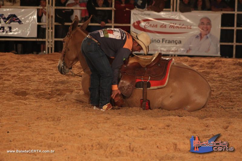 Balada: Braslia Rodeio Show - Parque Leo - DF