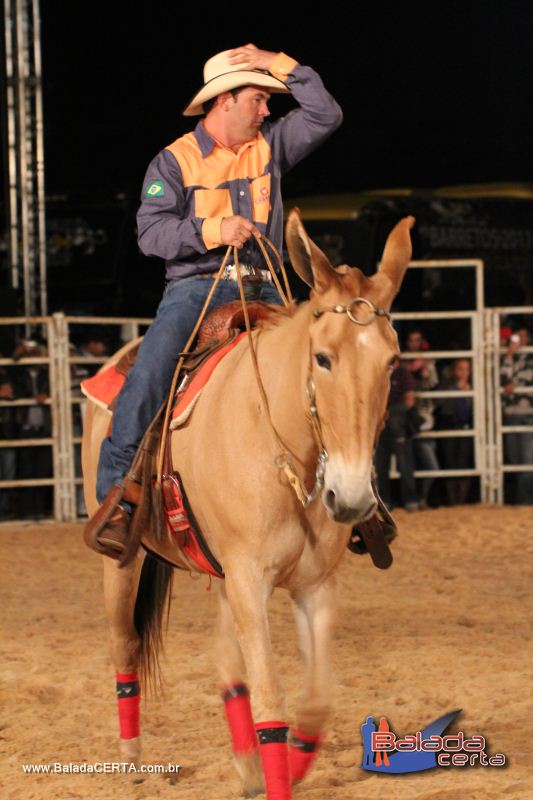 Balada: Braslia Rodeio Show - Parque Leo - DF