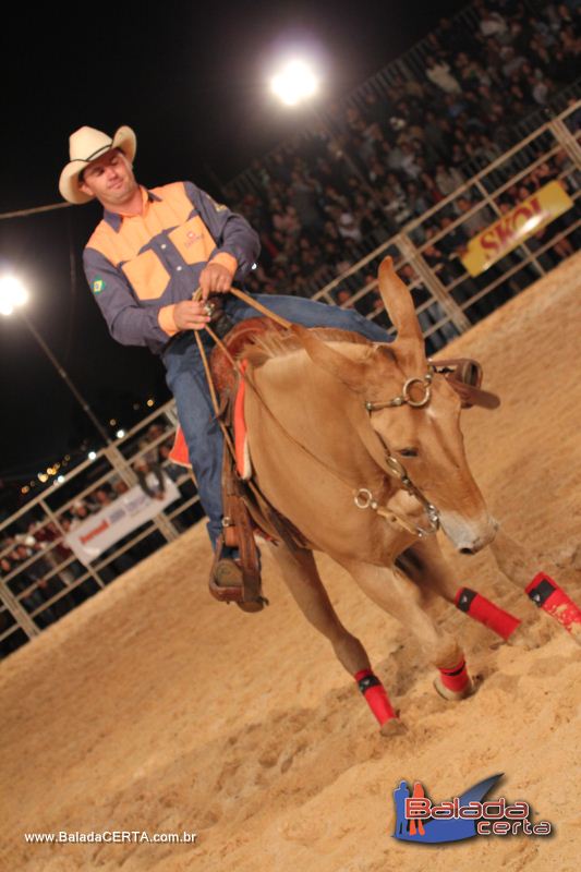 Balada: Braslia Rodeio Show - Parque Leo - DF