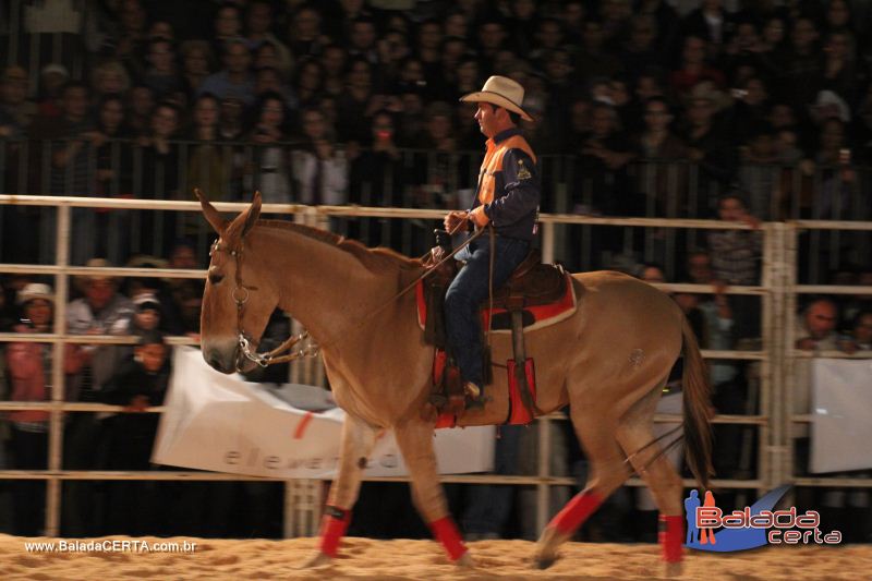 Balada: Braslia Rodeio Show - Parque Leo - DF