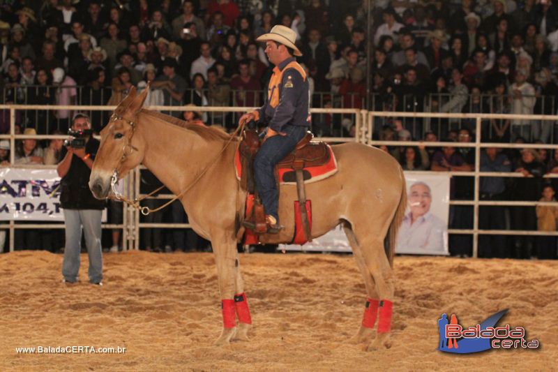 Balada: Braslia Rodeio Show - Parque Leo - DF